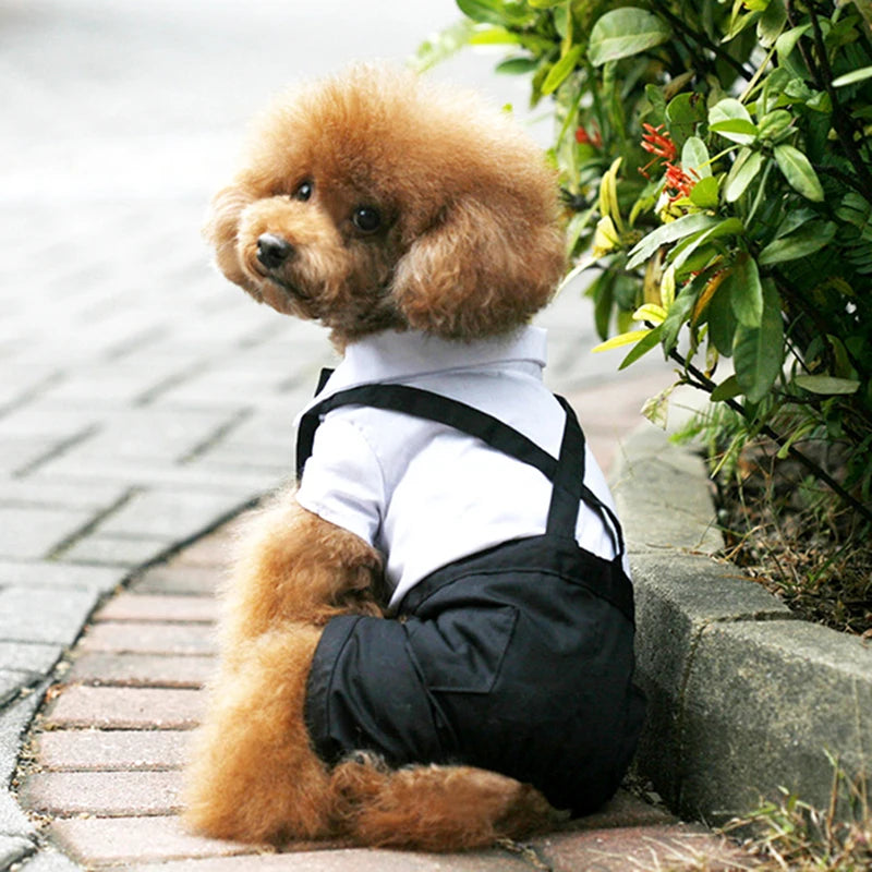 Dog Clothes Cat Prince Wedding Costume Cute Gentleman Cachorro Mascotas Chihuahua Tuxedo Bowtie Puppy Coat Pets Supplies