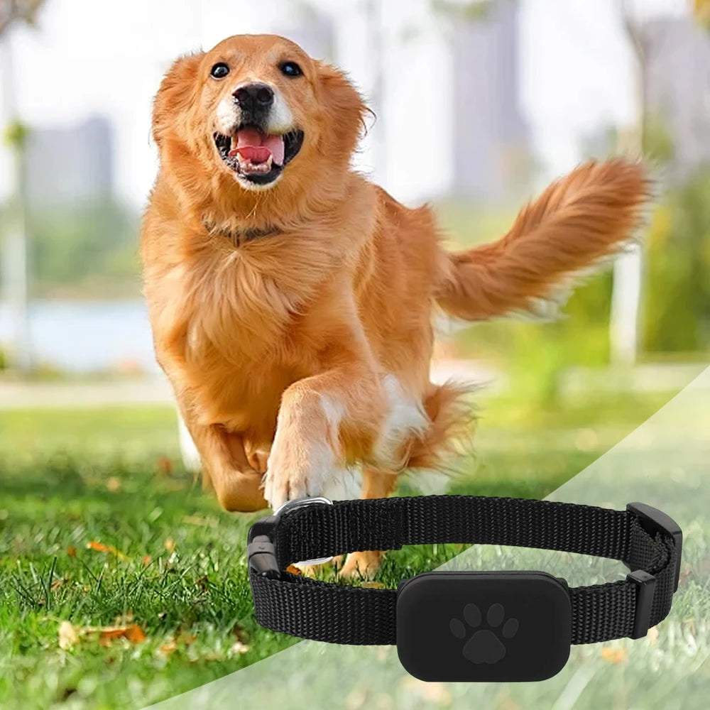 Pet Smart GPS Tracker Dog Cat Trackers with Adjustable Collar Waterproof Pet Kitten GPS Collar Pets Accessories Pet Locator