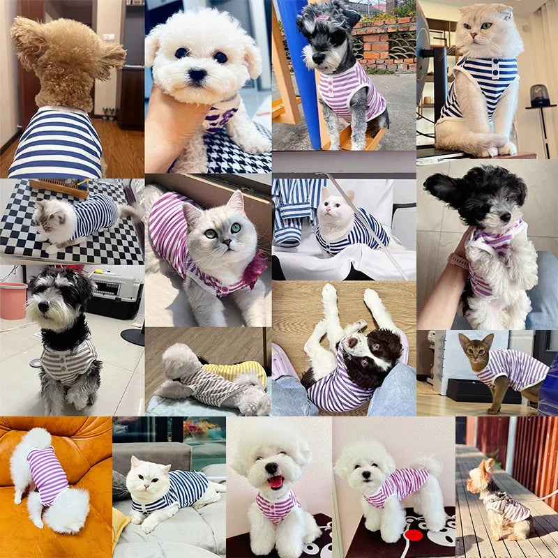 Summer Pet Clothes Simple Striped Vest for Small Dog Chihuahua Bichon Breathable Vest Puppy Cat Thin T-Shirt Dog Supplies