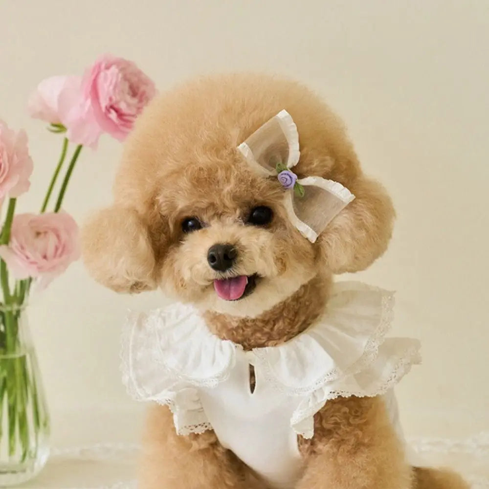 Fashion Lace Pet Summer Vest Soft Breathable Cat Base Skirt Flying Sleeve Dog Clothes Spring
