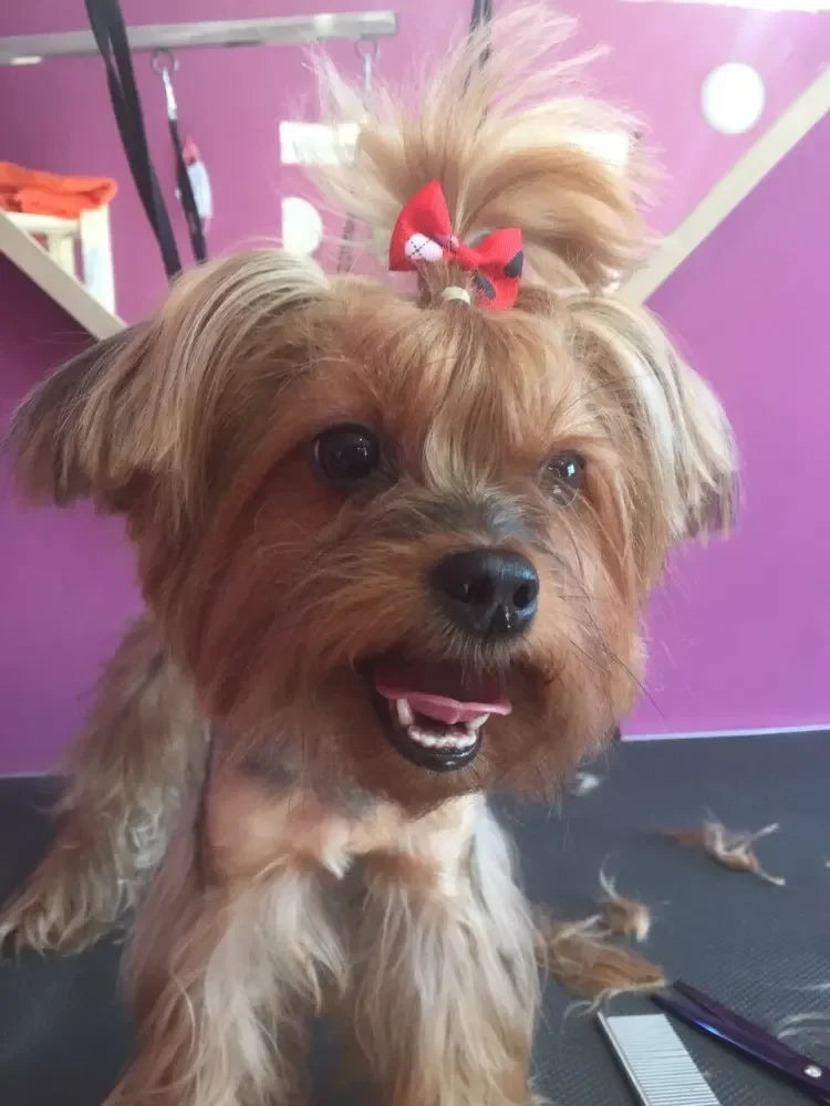 1Pcs Puppy Bow Handmade Movable Pet Dog Grooming Hair Accessories Dog Bows With Rubber Band For Small Dog and Cat Pet Products